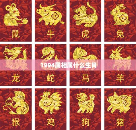 1969 生肖|69年属于什么生肖的 69年的属相